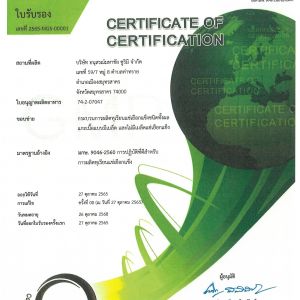 GMP (Good Manufacturing Practices)